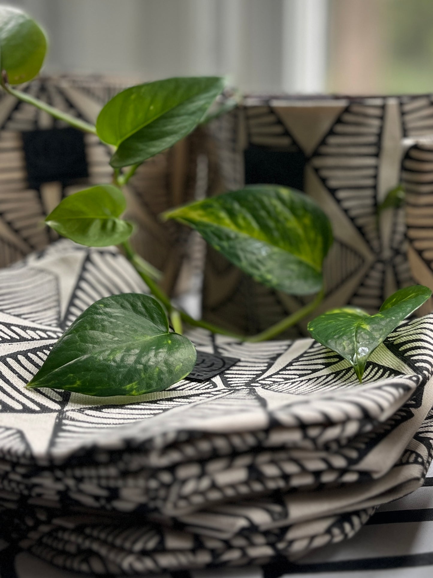 Fabric Plant Pot/Cover - Adigun Print